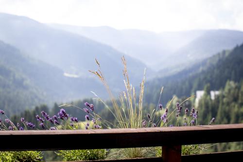2_ausblick